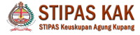 logo webstipasOK